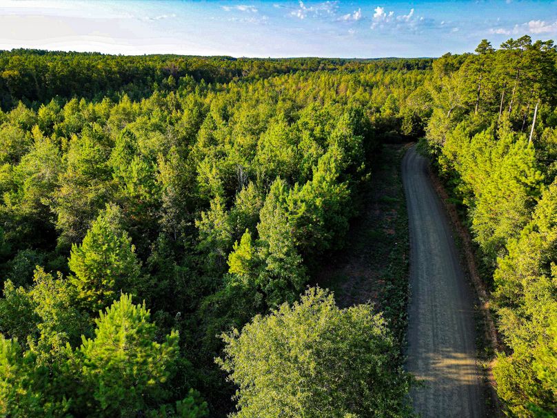 43.5 Acres San Augustine 002