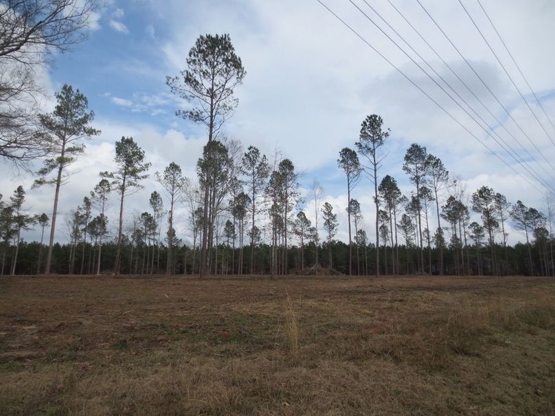 F45BB1C2-4BA7-4DEF-B3CC-5ED4DE2352DA_1_105_c