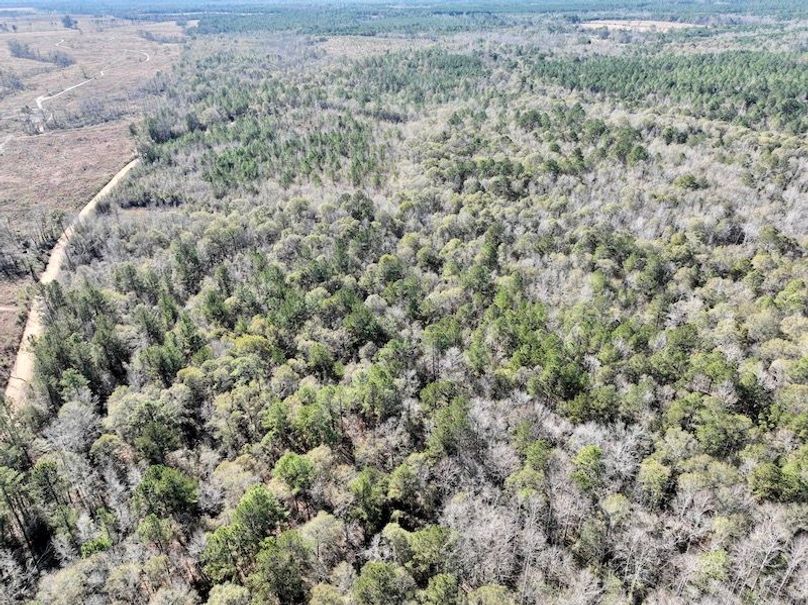 dji_fly_20251128_133124_22_1764354900120_photo