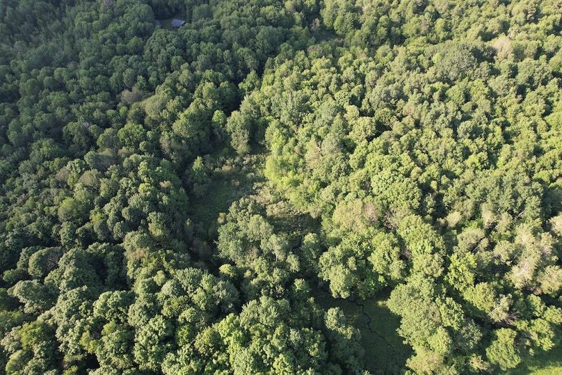 Jefferson_260.3_ Lobach_Photos_20