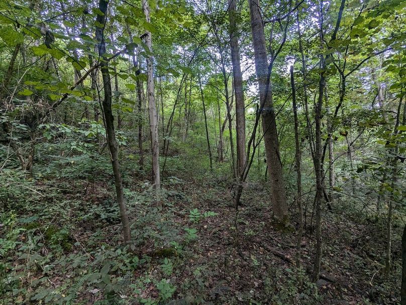 PXL_20240819_145159780