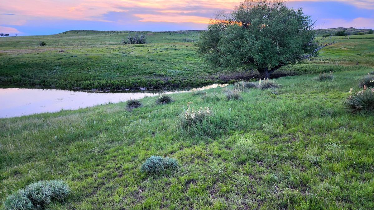 Large Contiguous Ranch With Several Water Sources | Whitetail Properties