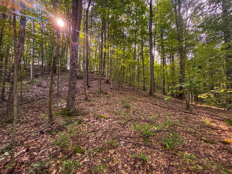 Lewis, WV 82.87 AC Barger-109