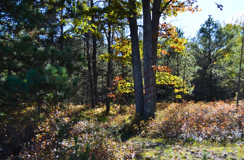 Screenshot 2025-11-14 at 11.04.29 AM