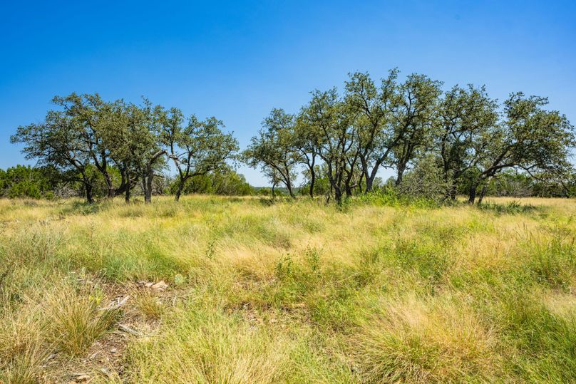 7-web-or-mls-DSC08262