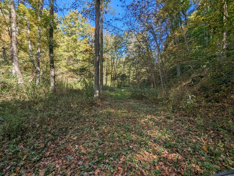 PXL_20231004_164602981