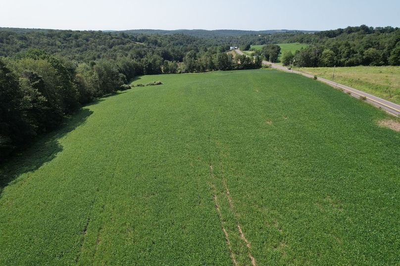 Copy of dji_fly_20250808_110026_146_1754665492147_photo