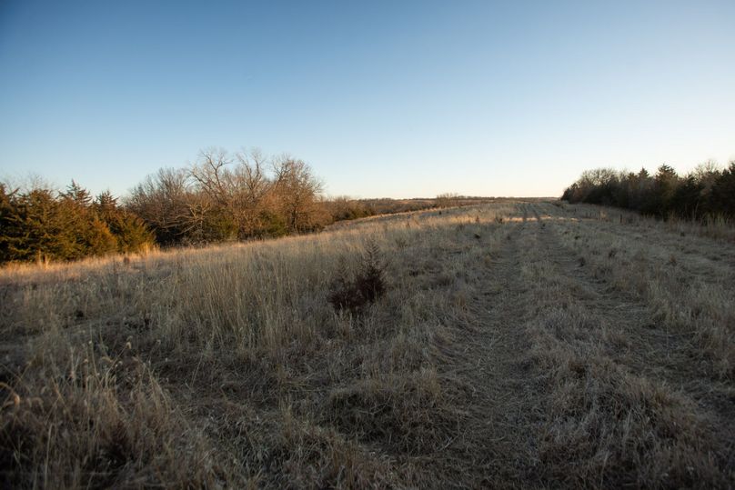 WORTH CO MO 537.44_65