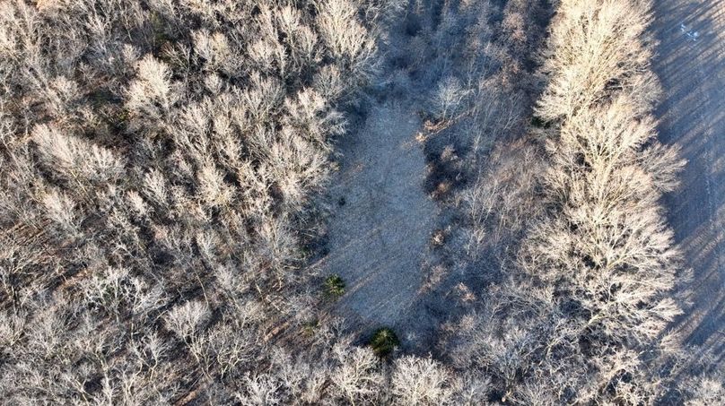 Screenshot 2026-01-21 at 4.11.48 PM