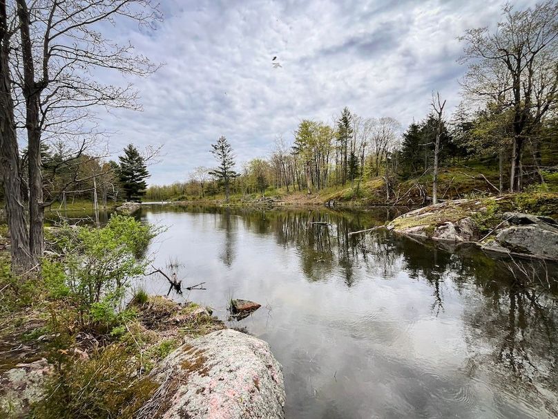 Jefferson_148.1_Flood_Photos_33