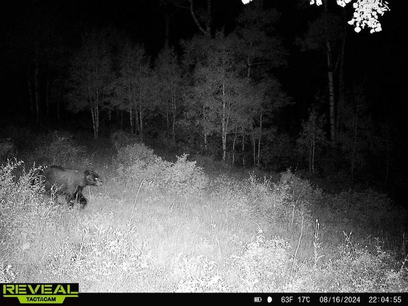 Copy of 864049052055672-50-4-08162024220454-HD-W1000062 (1)