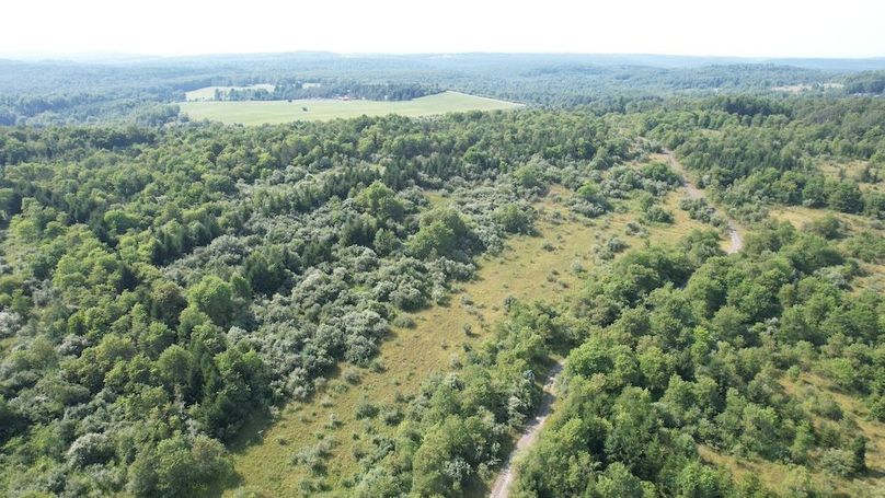 dji_fly_20250804_162452_507_1754355787552_photo