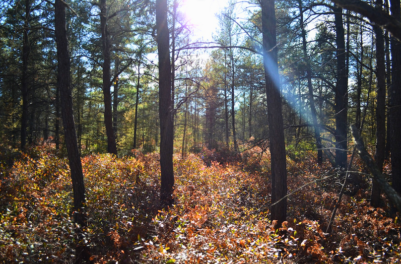 Screenshot 2025-11-14 at 11.20.57 AM