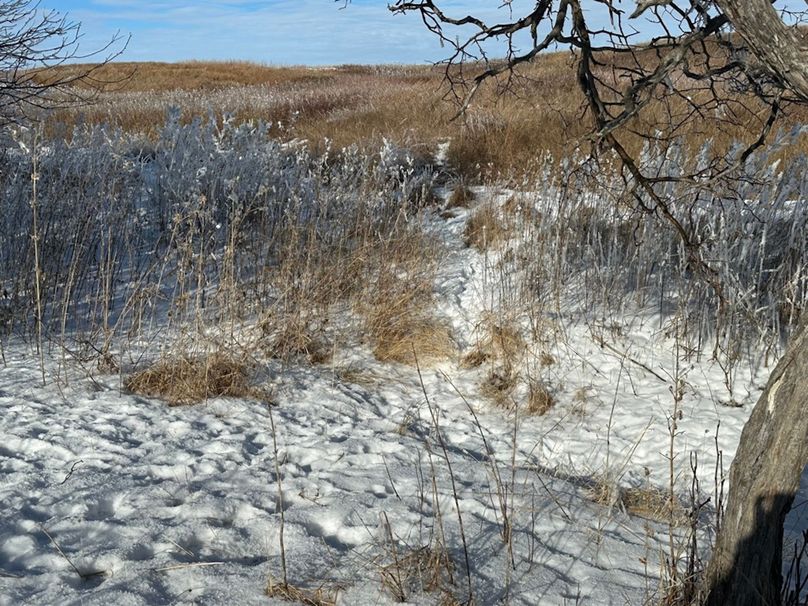 570EE205-8213-4F2F-B1D2-1DA0BB757CCA_1_105_c