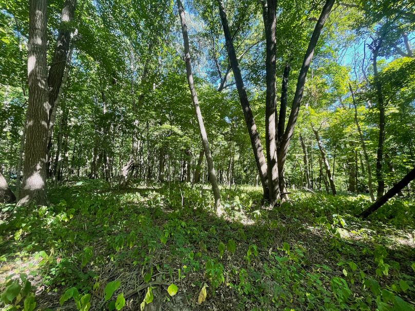 Grant 110 - 41 of 47