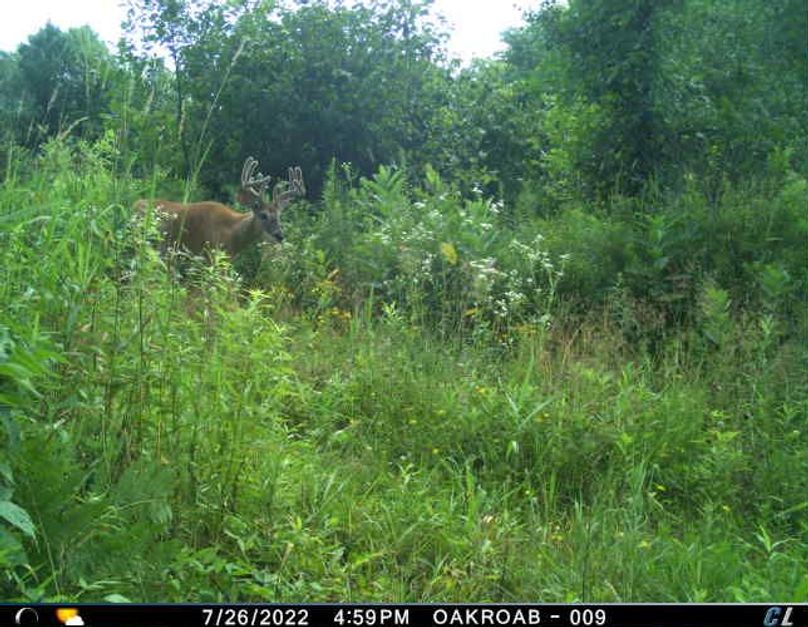 July 22 (Big 10 - Oak Road)