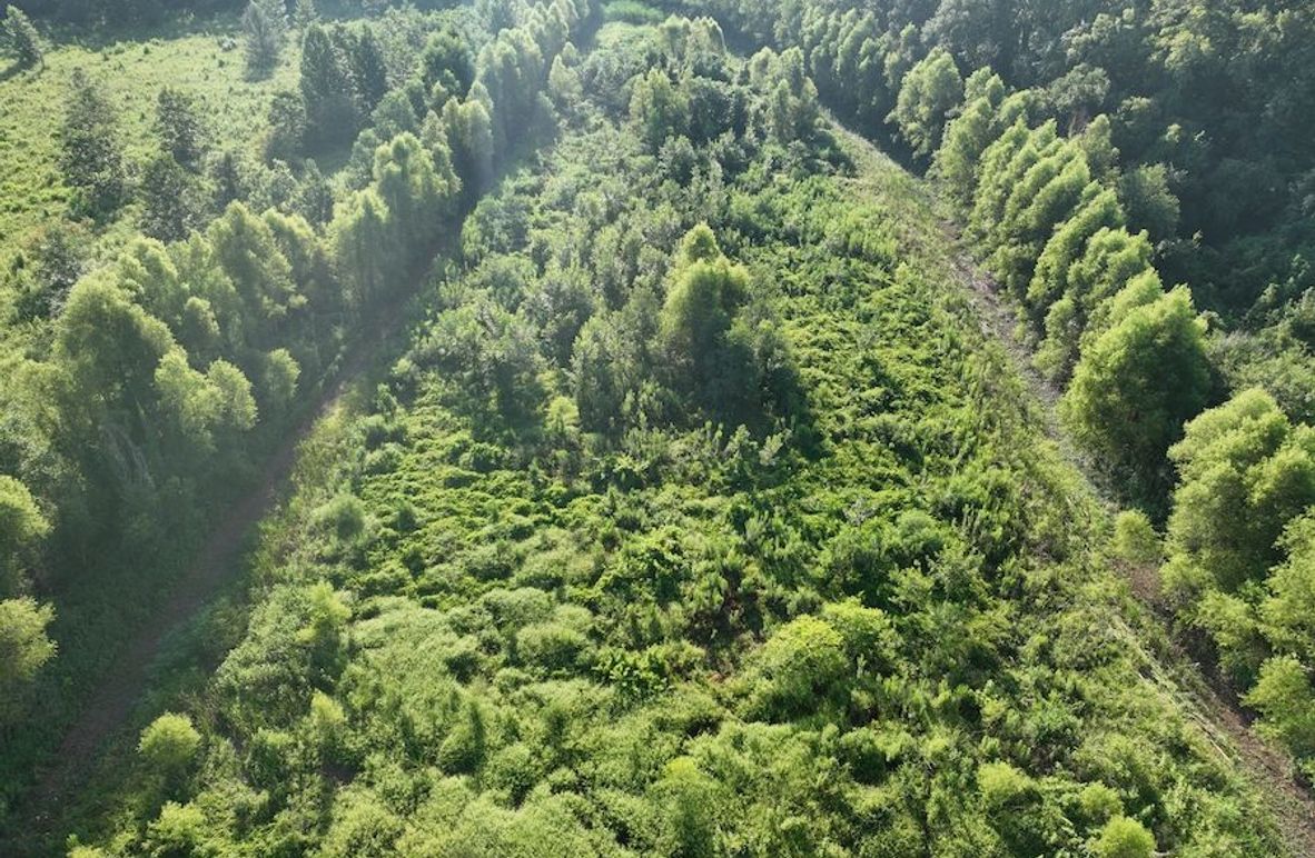 dji_fly_20240822_095448_788_1724354673147_photo