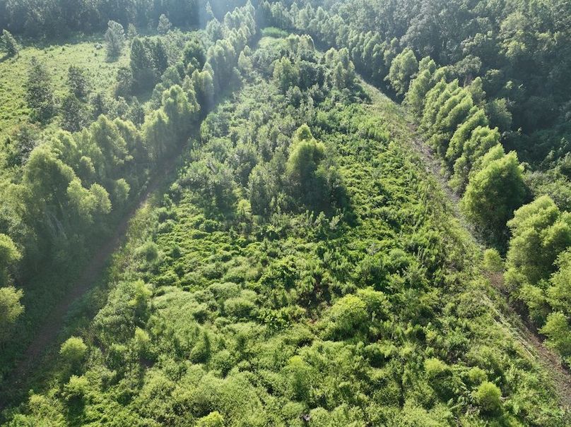 dji_fly_20240822_095448_788_1724354673147_photo