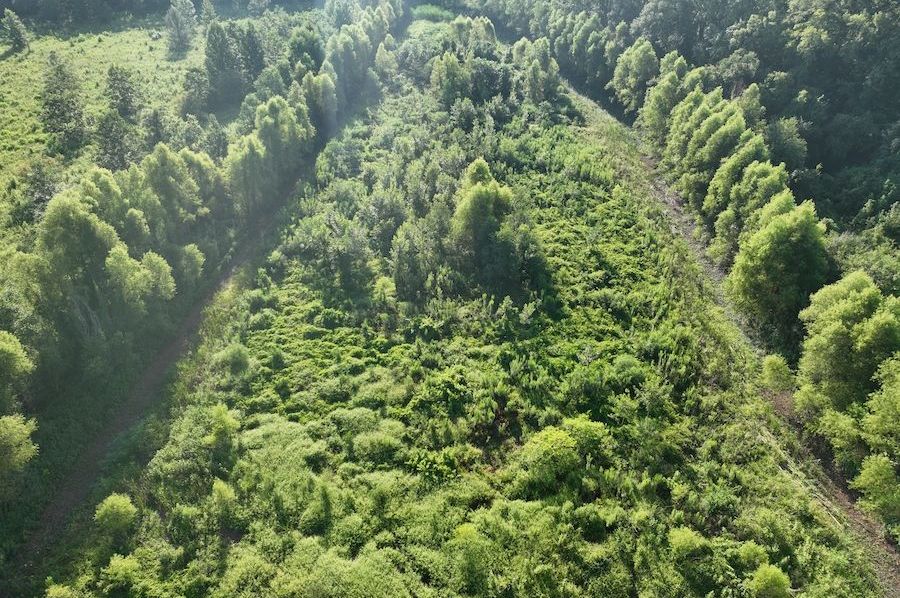 dji_fly_20240822_095448_788_1724354673147_photo