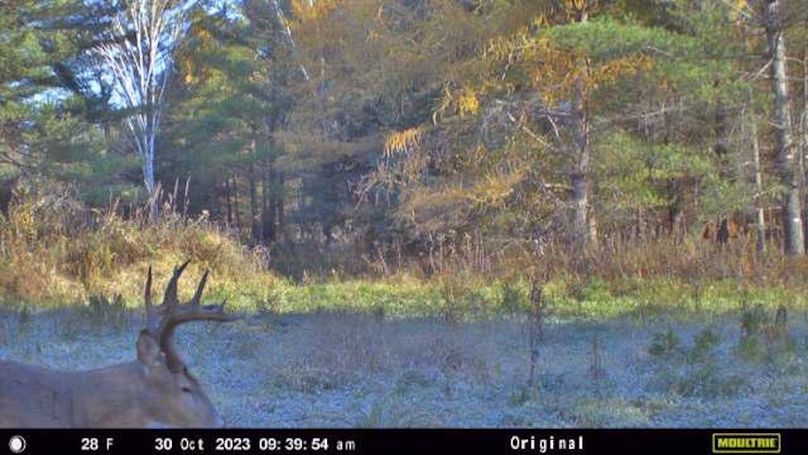 Temp_709138-20231030144024-30_10_2023_143954_246