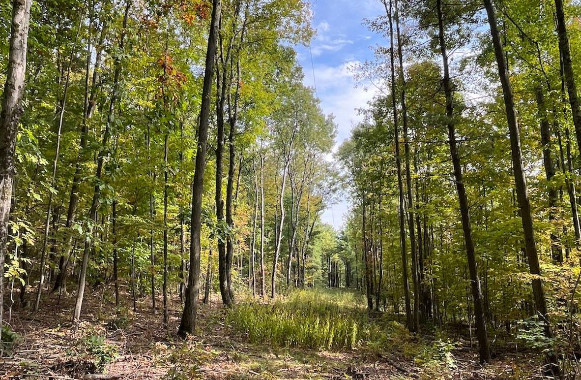 Chemung_17.45_Delsey Photo 1