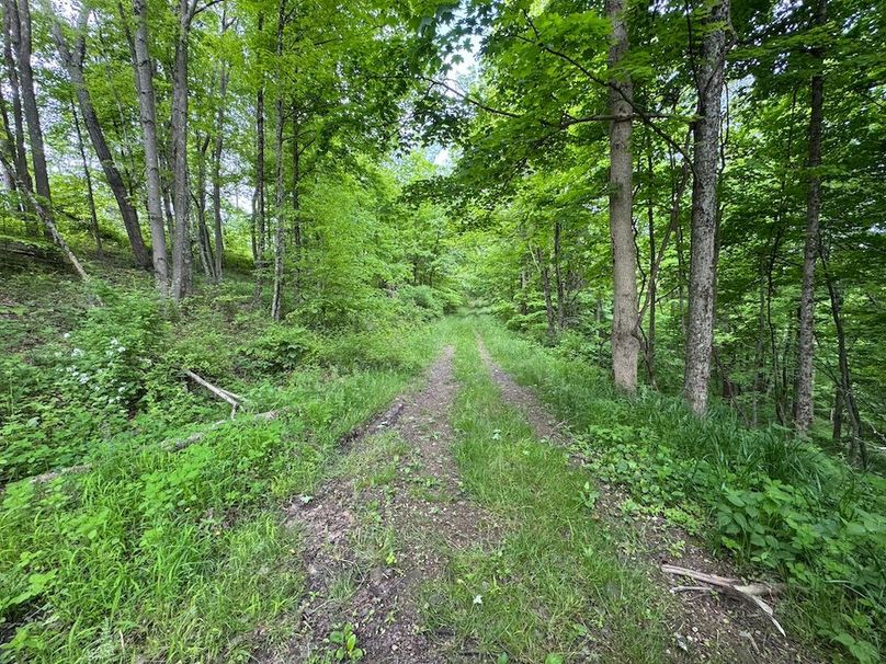 Pleasants, WV 168.59 AC Superior, Swank, Young-074