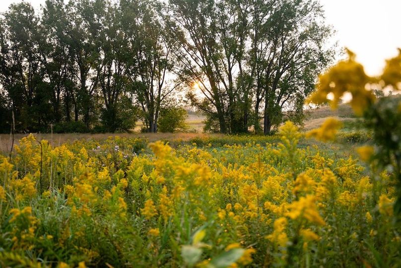 Cedar IA 152 Featured Z43