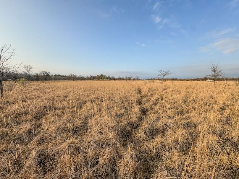 Monroe 80 Driver Dixon (Final Frontier) -06