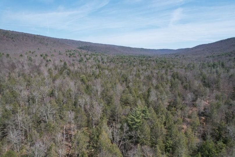 dji_fly_20260330_124824_559_1775656603495_photo