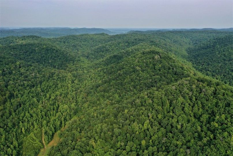 027 aerial drone shot from the center of the property looking northwest up Long Branch