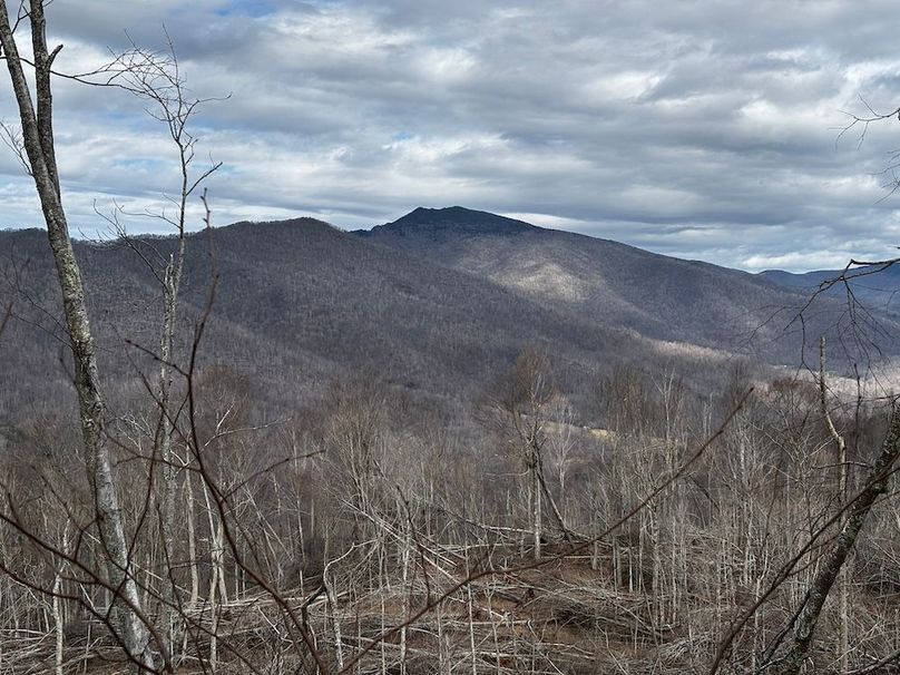 08View of Roan High Bluff