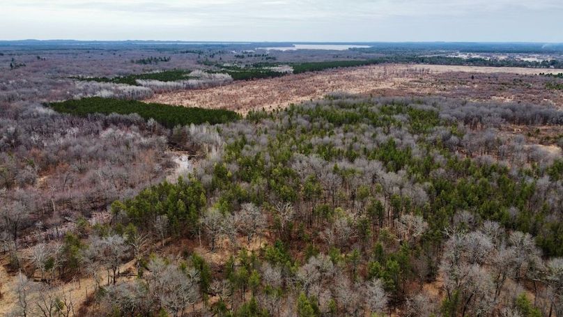 dji_fly_20250404_130308_750_1744067511205_photo_optimized 2