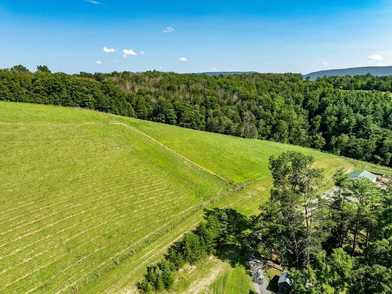 12-web-or-mls-IMG-10