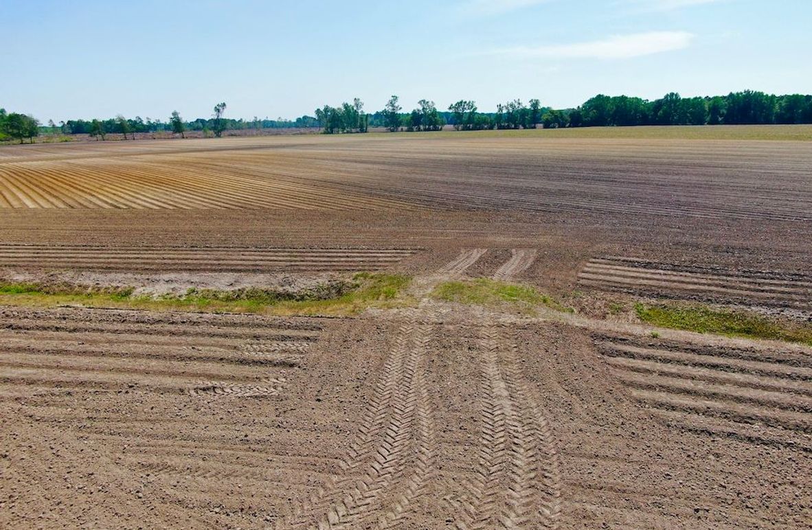 20D8E11DF3698E2659231EB302993FBD