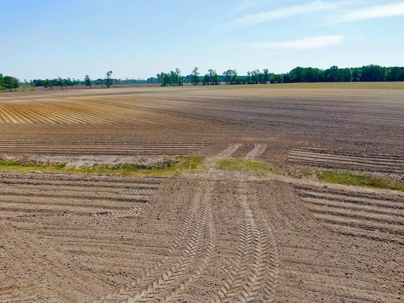 20D8E11DF3698E2659231EB302993FBD