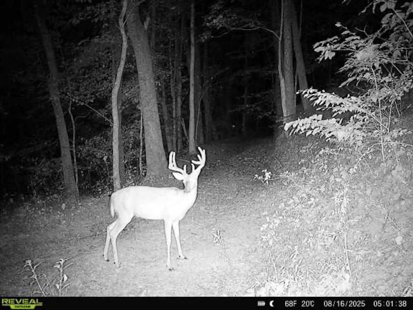 FF54BAFE-39D2-4E2E-A6E8-58DAA6ED85C0