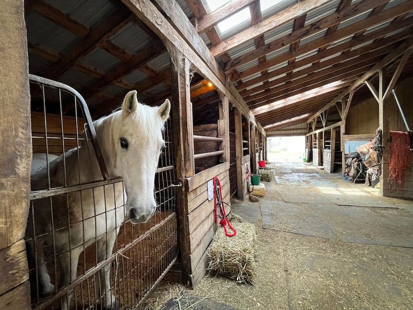 Tioga__NY_109.7_Burris_Photos_25