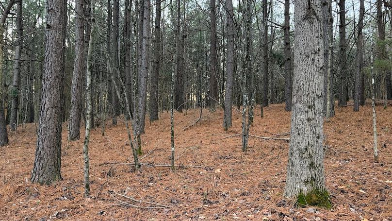 Grayson 48.195 Johnson7