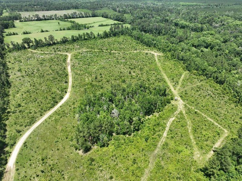 dji_fly_20250522_160118_213_1747959377151_photo