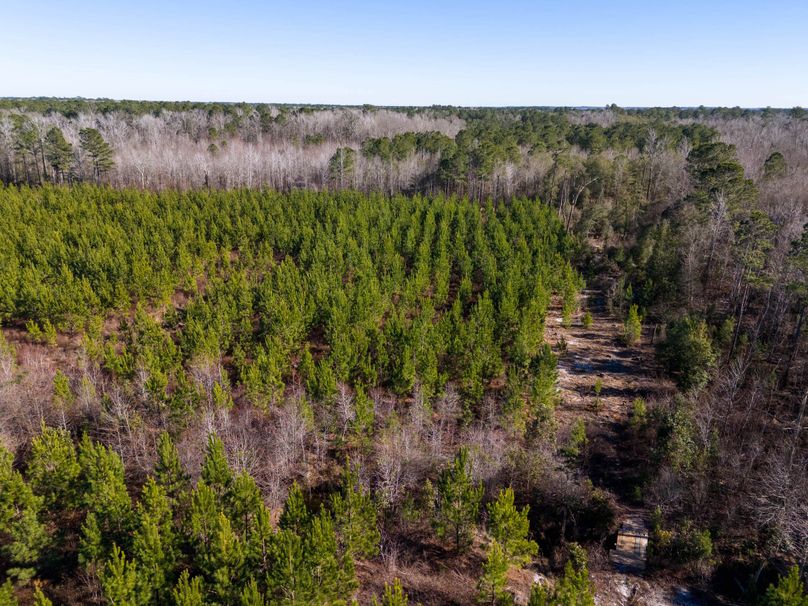 Pender NC 382 - Edits-33