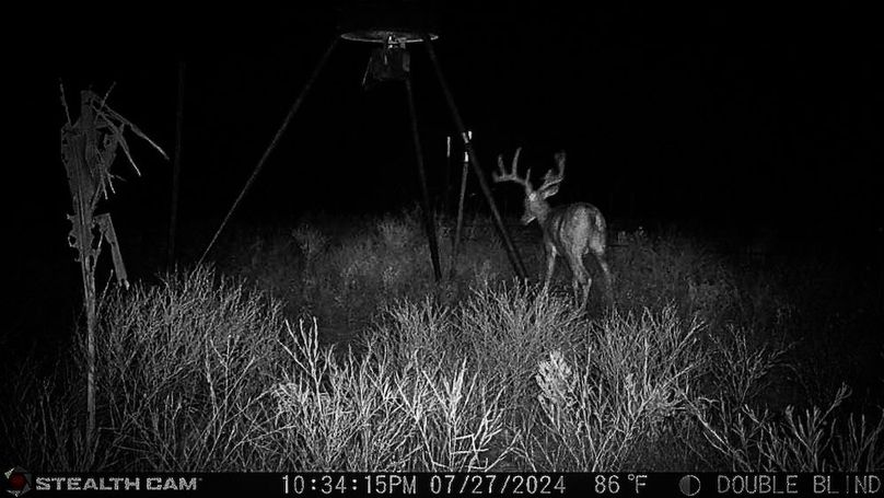 14. Recent Trailcam Photo 2