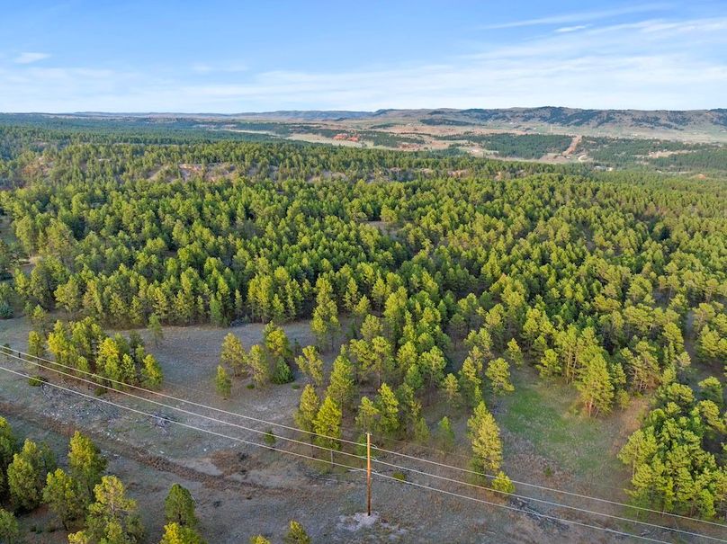 11-DJI_20250507190141_0806_D