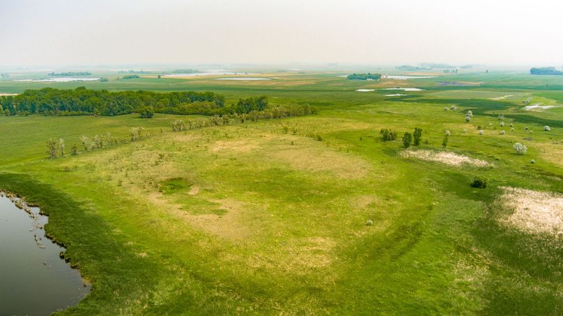 8. tree line along north boundary