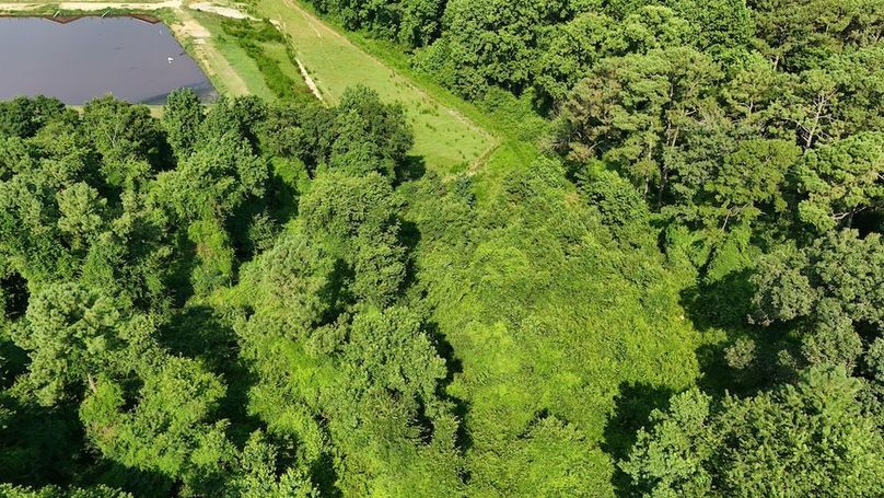 DJI_20250627094105_0083_D