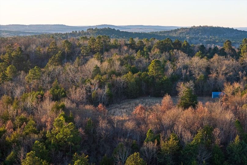 1DJI_20260116075217_0014_D