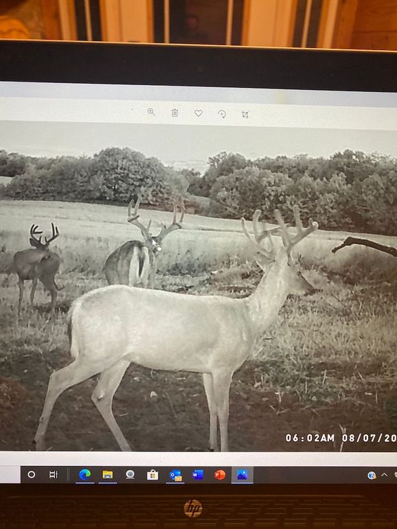 61888858264__D47F714E-029A-4EA8-B975-590EE5453207