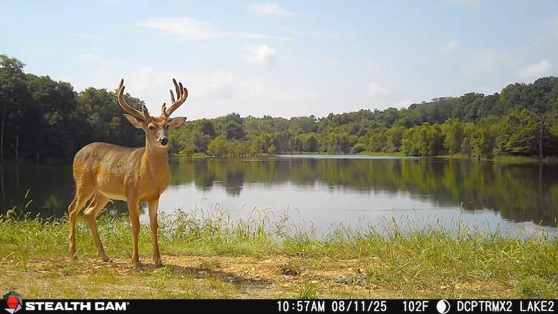 2025081110574201000567_ColorizationType.none