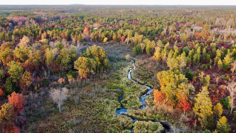 dji_fly_20241011_175058_453_1728687443448_photo_optimized 2