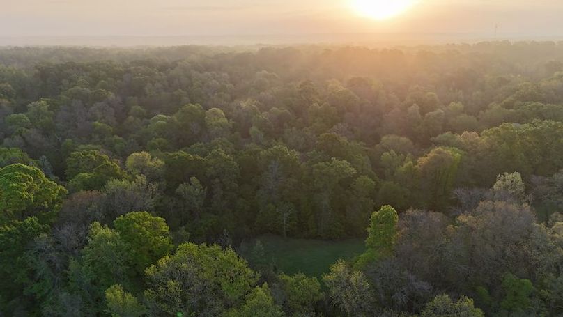 Claiborne Co-314-Fernandez-102