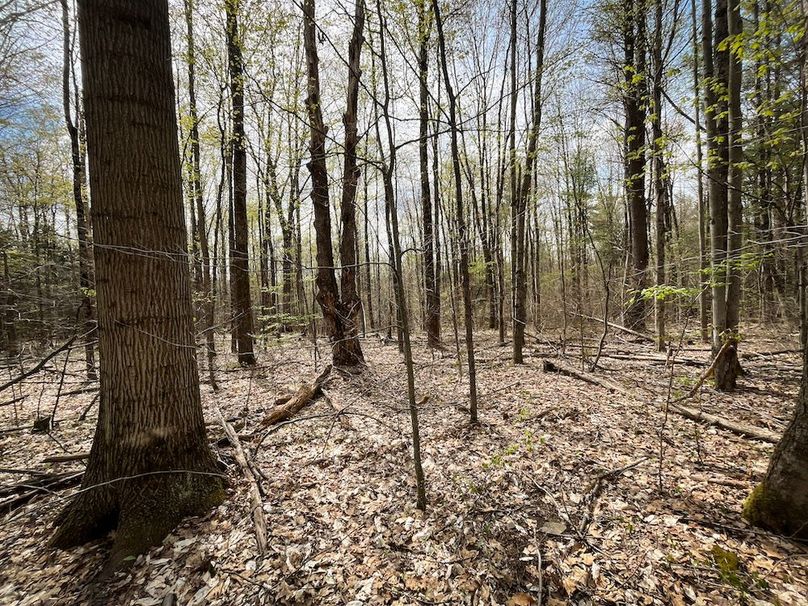 Tioga_76.65_Matyjas_Photos_30